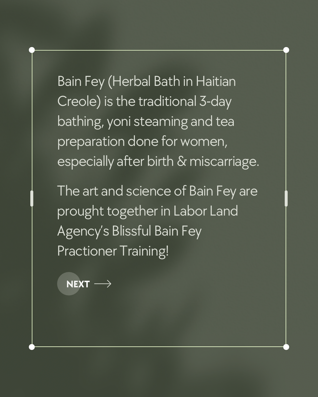 Blissful Bain Fey Practitioner Training and Certification