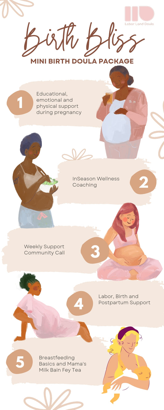Labor Land Doula Birth Bliss Mini Package