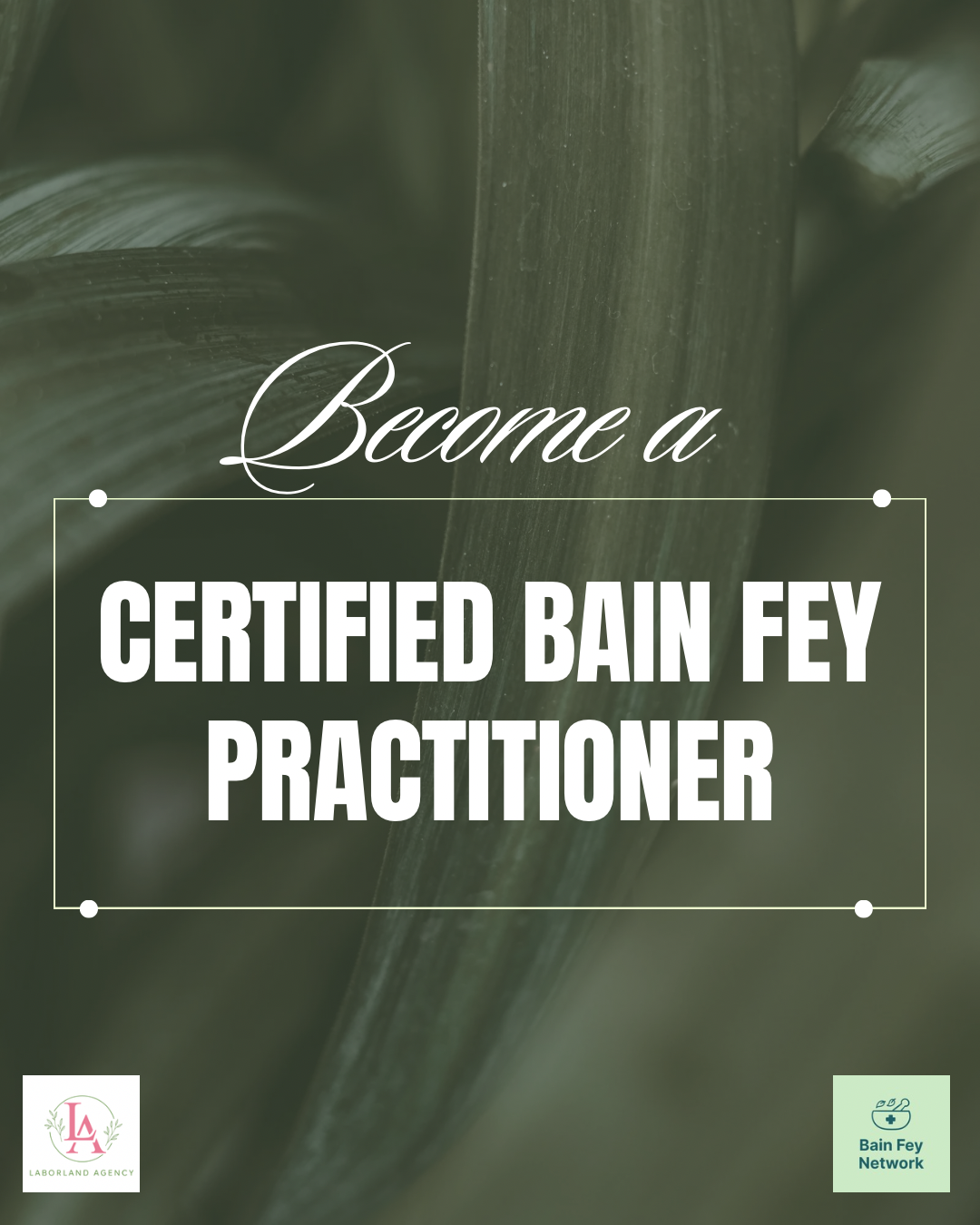 Blissful Bain Fey Practitioner Training and Certification