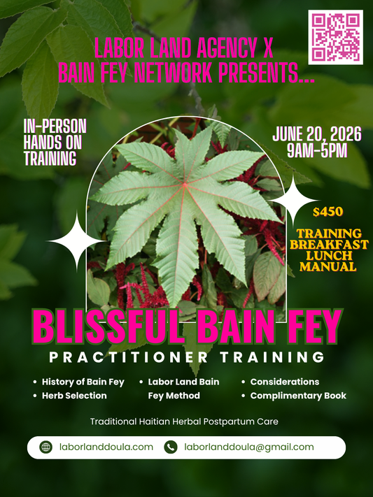 Blissful Bain Fey Practitioner Training and Certification